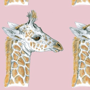 Custom Baby Giraffe in Dark Pink May 7