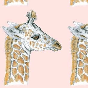 Custom Baby Giraffe in Pale Pink May 7