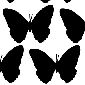 butterfly silhouettes_black on white