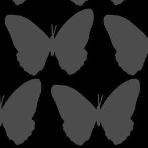 butterfly silhouettes_gray on black