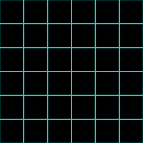 grid lines_3 inch square tiles_aqua on black