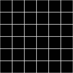 grid lines_3 inch square tiles_white on black