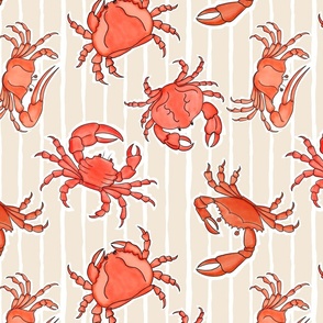 Cutesy Crabs and Sand Stripes