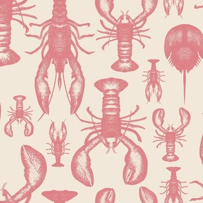 LOBSTER ROUTE-crustaceans-lobster-crawfish-horseshoe crab-nature-sea-coastal-rose pink-pantone 24-sealife