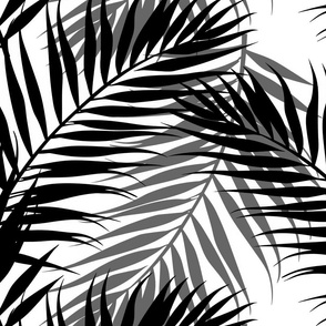 Paradise Palms - Black/White Wallpaper
