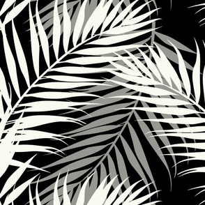 Paradise Palms - Pale Cream on Black  Wallpaper
