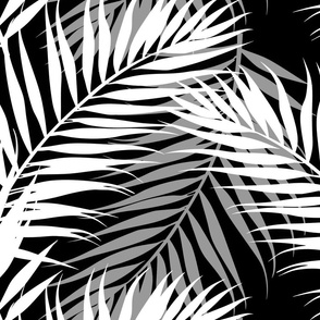 Paradise Palms - White/Black  Wallpaper