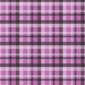 mini mixed plaid / purple halloween