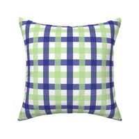 Preppy Boy Blue Green Gingham Plaid Check Medium 