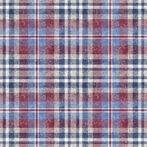 Blue Red and White Woven Textured Tartan Plaid 