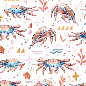 Sea Crabs  - Nautical Beach Animals - White