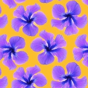 Hibiscus Photo Purple on Yellow