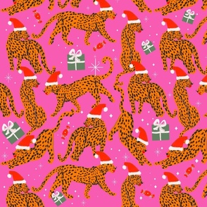 Fashionable cats with Christmas hats and gifts in fuchsia pink background 