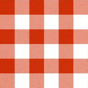 (L) gingham & check textured red