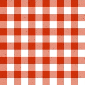 (M) gingham & check textured red