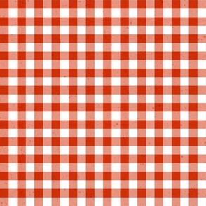 (S) gingham & check textured red