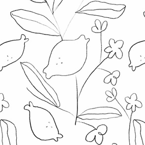 Lemon and lemon tree  Sketch outline in black pencil strokes on white background
