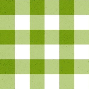 (L) gingham & check textured green  
