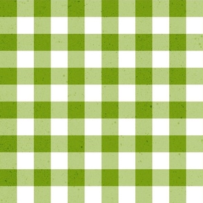 (M) gingham & check textured green  