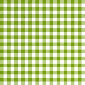 (S) gingham & check textured green  