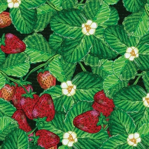 Realistic Hand Drawn Strawberry Plants and Strawberries Floral on Dark Background