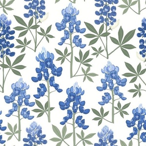 Texas Bluebonnets wildflower meadow in cornflower blue tones