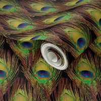 Peacock Feathers  -Single - Diamonds