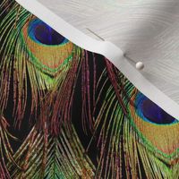 Peacock Feathers - Single - Checkerboard