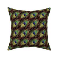 Peacock Feathers - Single - Checkerboard