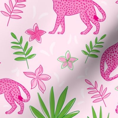 Pink Paradise Safari