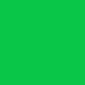 coordinating solid color christmas green, bright green 09c648