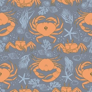 Pacific Crabs Scuttling on the Sand_Blue and Orange