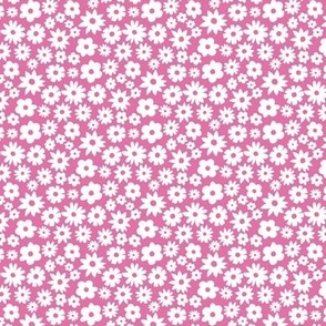 Tiny daisies. Extra small scale daises on pink background. Small scale pink flowers. Ditsy Flowers pink and white.