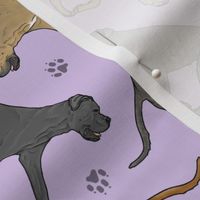 Trotting natural Cane Corso and paw prints - lavender