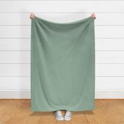 coordinating solid color sage green 98b19e