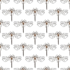 Vintage Glamour Art Deco - Dragonflies - Brown on White BG