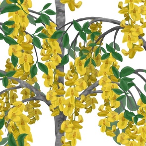 Laburnum Golden Rain Tree -good for metallic Wallpaper