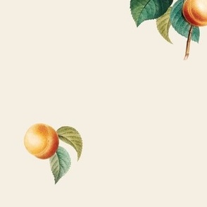 Apricots v3 on Crema // large