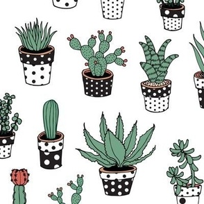 Succulents in Spotty pots, black and white - Medium scale