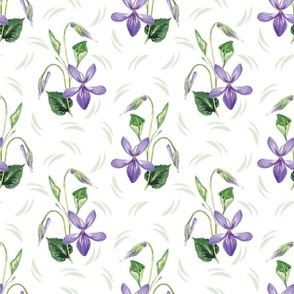 Wild Violet Large scale