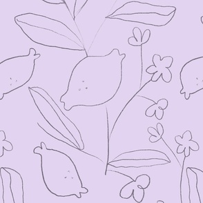 Lemon garden  pencil Sketch in lilac light Purple