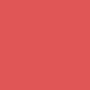 Red Plain Solid Color e05555