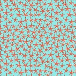 starfish medium