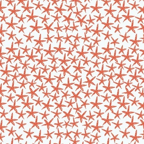 starfish orange medium