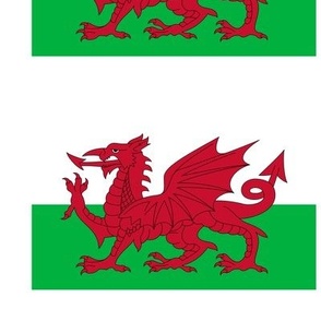 Flag of Wales  - 18 cm x 10.8 cm (7.1x4.3") with 2 cm (3/4") white borders
