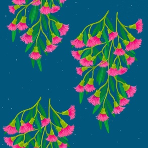 Eucalyptus Blooms | Pink Flowers | Deep Blue 