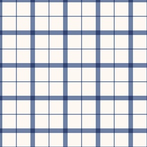 (L) Classic Windowpane Check/Plaid Thick and Thin Lines Denim Blue and Off White