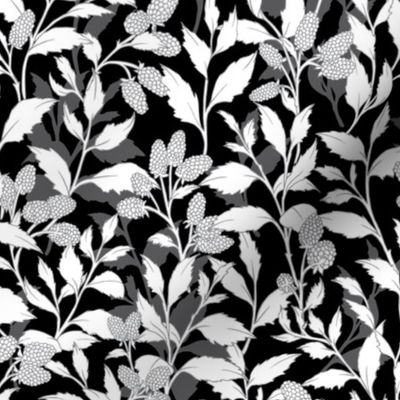 Hand-Drawn Wild Blackberries in Black and White (small scale)