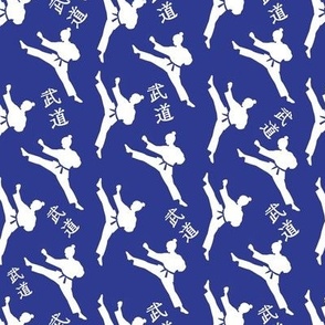 Japanese - White on Blue Kicking Girl Martial Arts