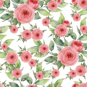 Floral Pink Roses